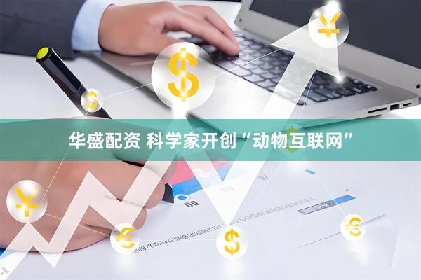 华盛配资 科学家开创“动物互联网”
