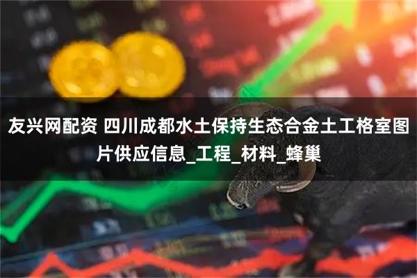 友兴网配资 四川成都水土保持生态合金土工格室图片供应信息_工程_材料_蜂巢